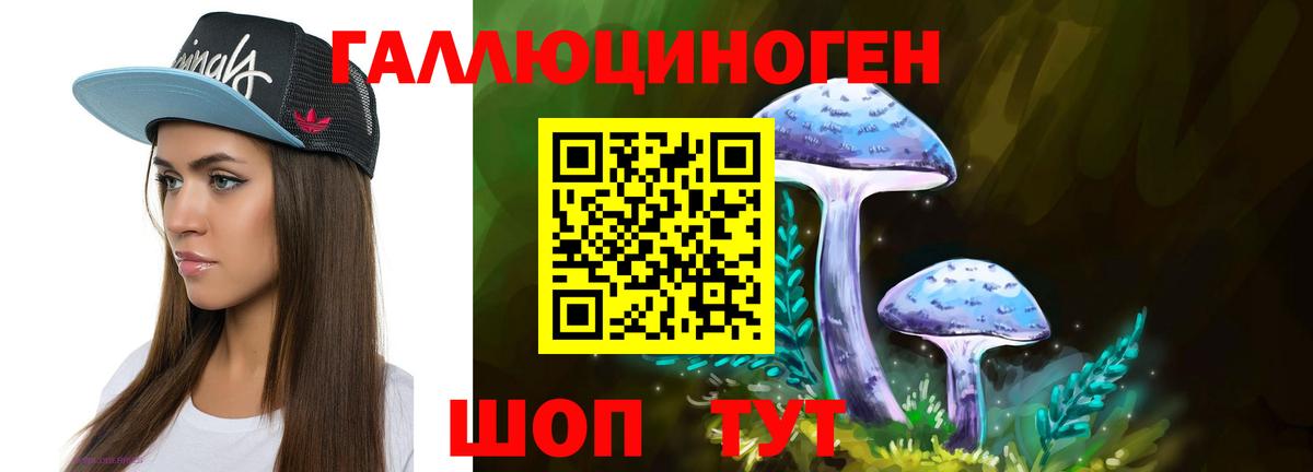 Галлюциногенные грибы Psilocybine cubensis Артём