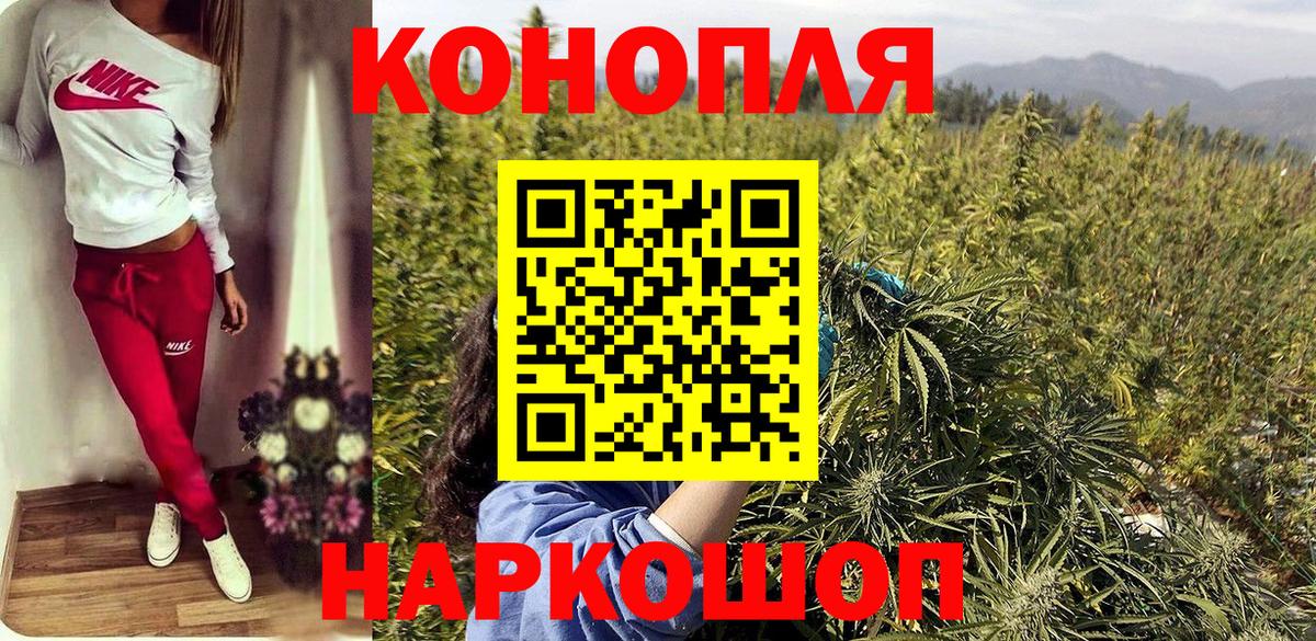 Канабис SATIVA & INDICA  Вход с VPN  Артём  Бошки Шишки Bruce Banner  Марихуана конопля  Шишки марихуана сатива 